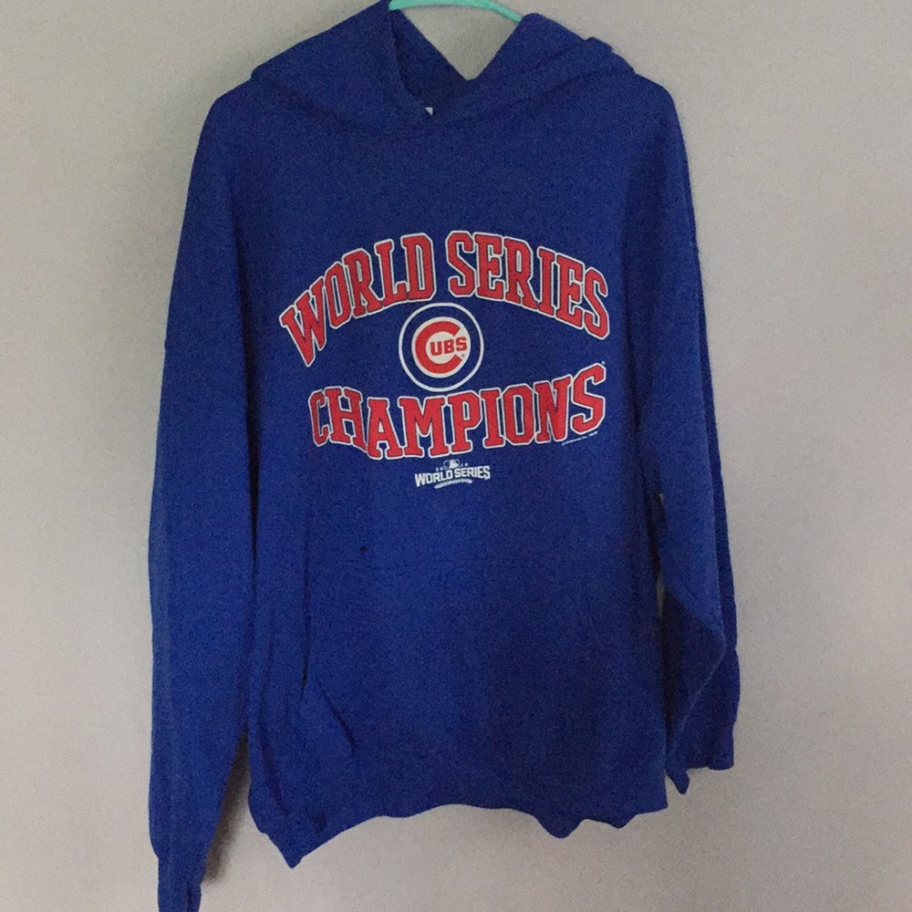 Cubs World Series hoodie